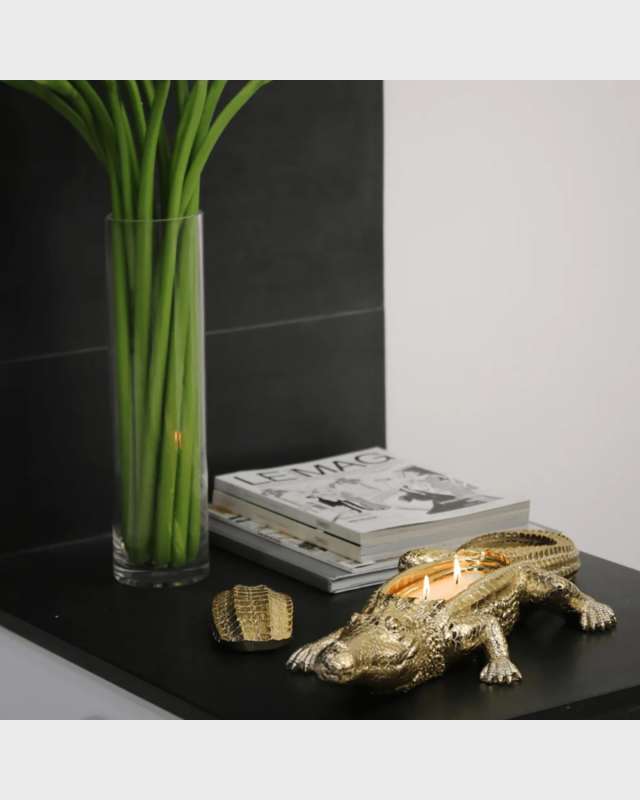 Golden Grand Alligator Candle, 14 oz.